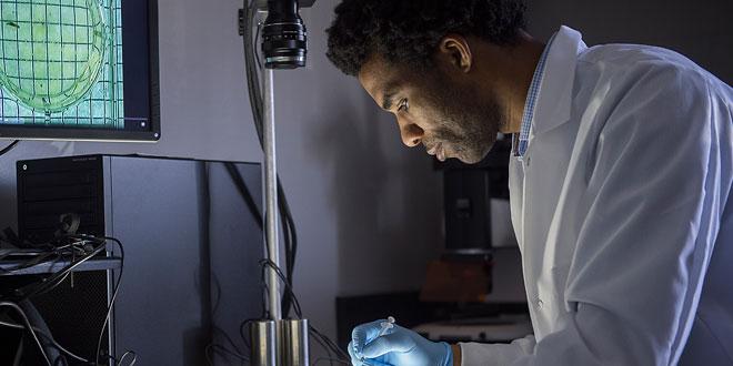Research in Neuroscience